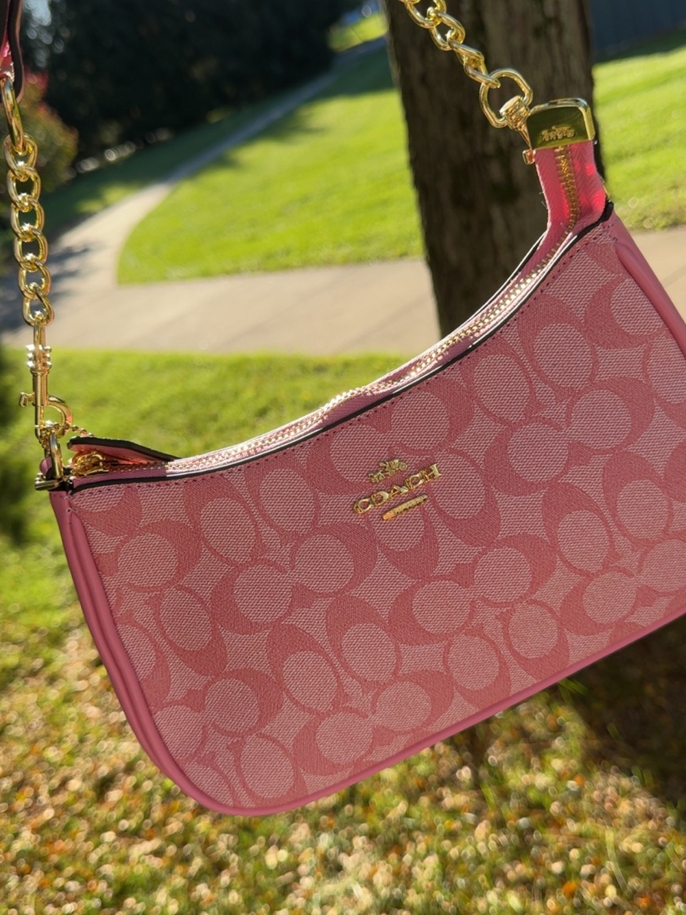 Pink Canvas Shoulder Bag with Gold Chain